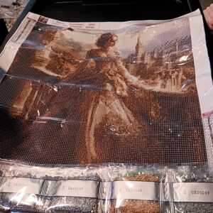 Diamond Art Paint Kit with Elegant Lady Design 40x40